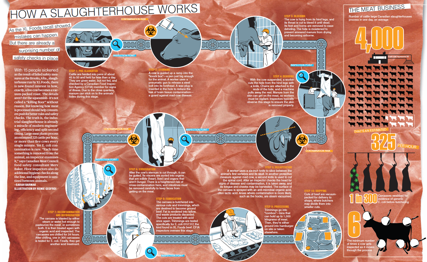 how-a-slaughterhouse-works