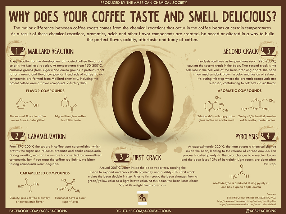 why-does-your-coffee-taste-and-smell-delicious-infographic-facts