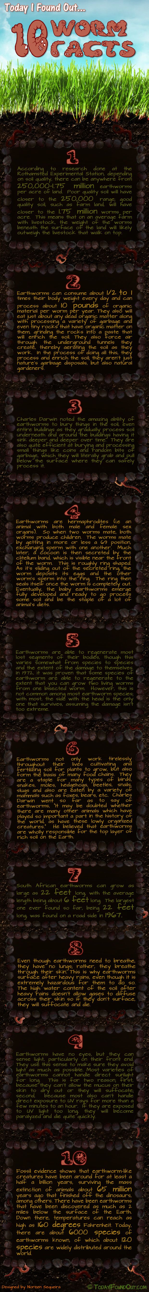 Today I Found Out… 10 Worm Facts Today I Found Out… 10 Worm Facts