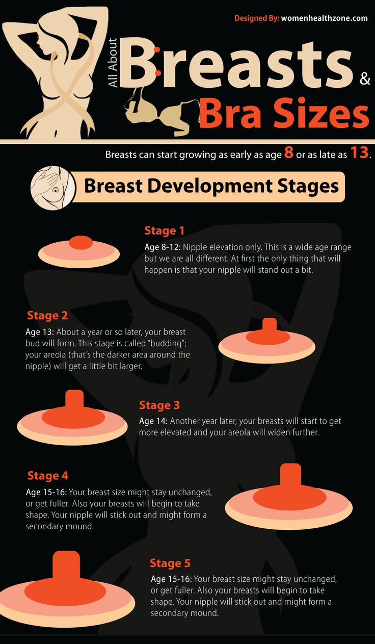 All About Breasts And Bra Sizes Infographic Facts