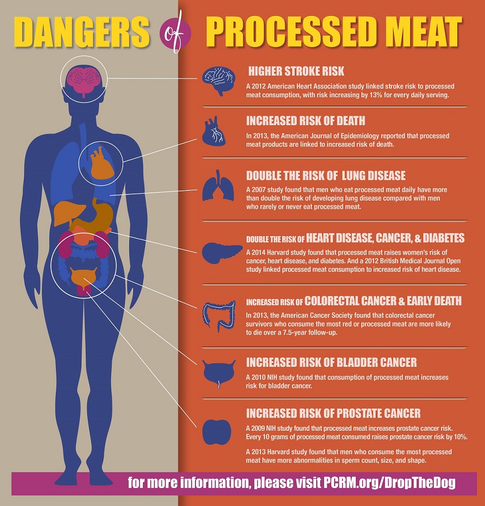 Dangers Of Processed Meat Infographic Facts Dangers Of Processed Meat Infographic Facts